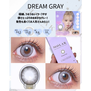 MOLAK 1day Dream Gray モラクワンデー ドリームグレー